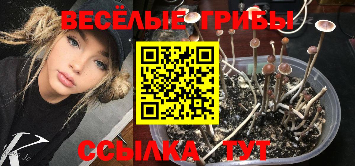 Псилоцибиновые грибы ЛСД Сыктывкар