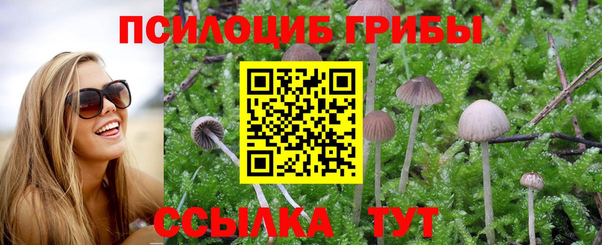 Сыктывкар  Галлюциногенные грибы GOLDEN TEACHER  Галлюциногенные грибы мицелий  Вход с VPN 